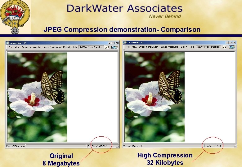 JPEG Compression demonstration- Comparison Original 8 Megabytes High Compression 32 Kilobytes 