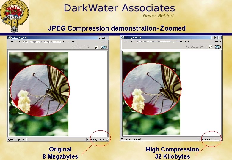 JPEG Compression demonstration- Zoomed Original 8 Megabytes High Compression 32 Kilobytes 