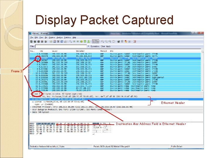 Display Packet Captured Frame 3 Ethernet Header Destination Mac Address Field in Ethernet Header