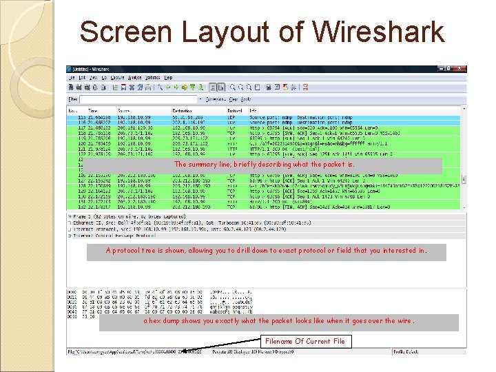 Screen Layout of Wireshark The summary line, briefly describing what the packet is. A