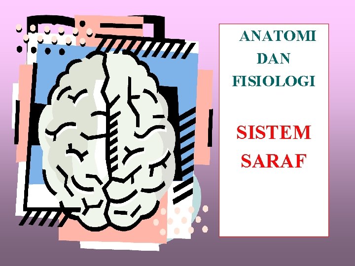 ANATOMI DAN FISIOLOGI SISTEM SARAF 