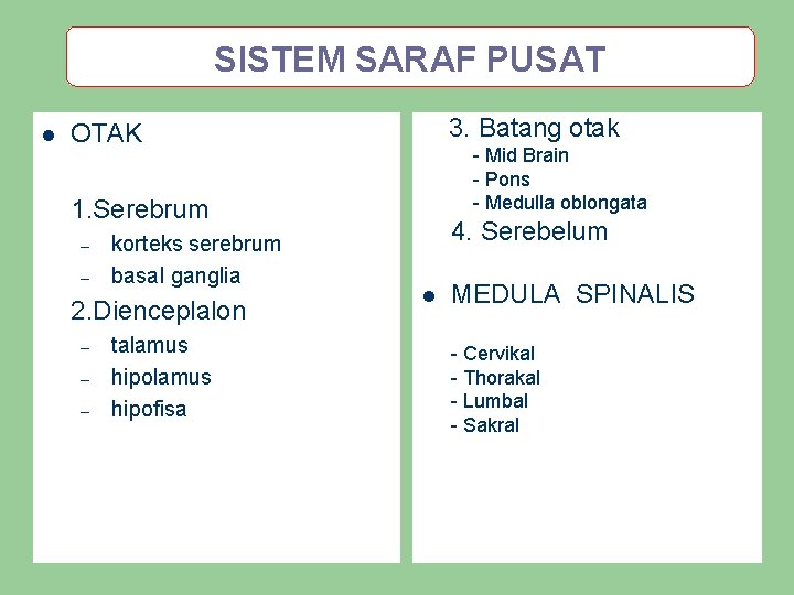 SISTEM SARAF PUSAT l 3. Batang otak OTAK - Mid Brain - Pons -