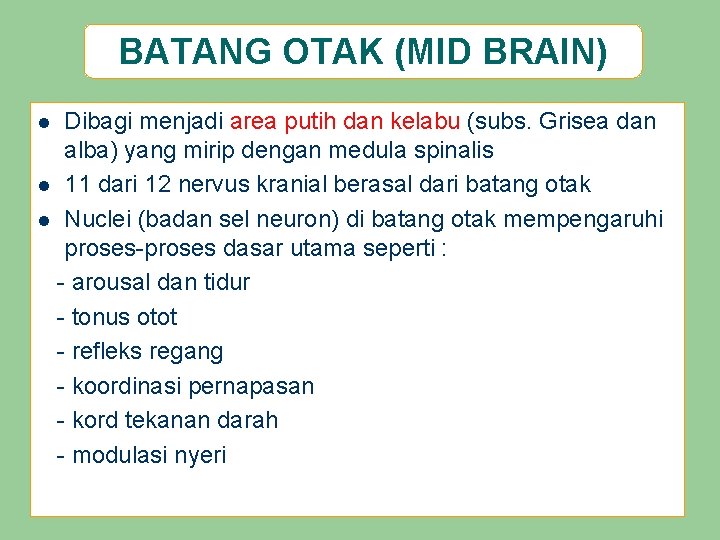 BATANG OTAK (MID BRAIN) Dibagi menjadi area putih dan kelabu (subs. Grisea dan alba)