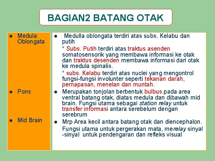 BAGIAN 2 BATANG OTAK l Medula Oblongata l l Pons l l Mid Brain