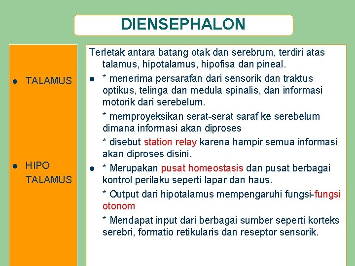 DIENSEPHALON l TALAMUS l HIPO TALAMUS Terletak antara batang otak dan serebrum, terdiri atas