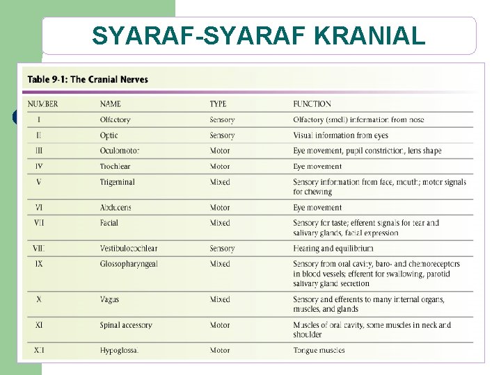 SYARAF-SYARAF KRANIAL 