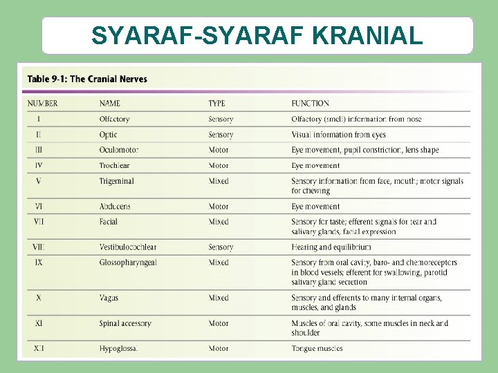 SYARAF-SYARAF KRANIAL 