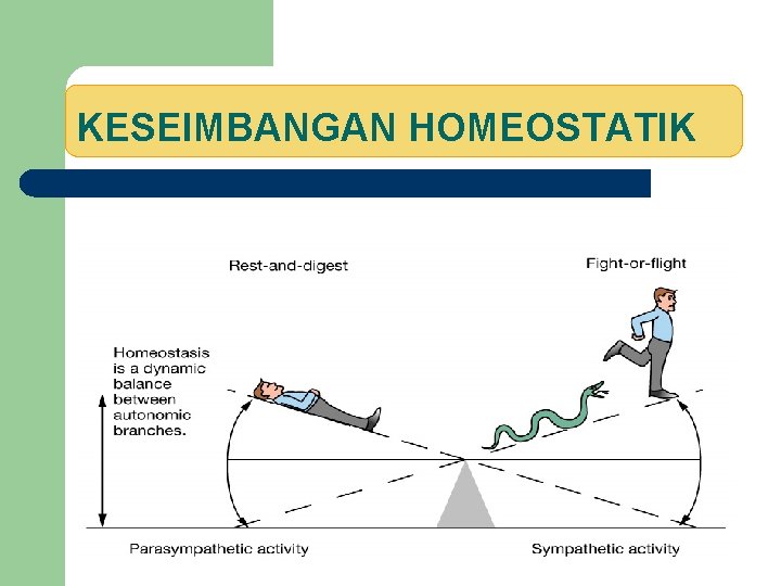 KESEIMBANGAN HOMEOSTATIK 