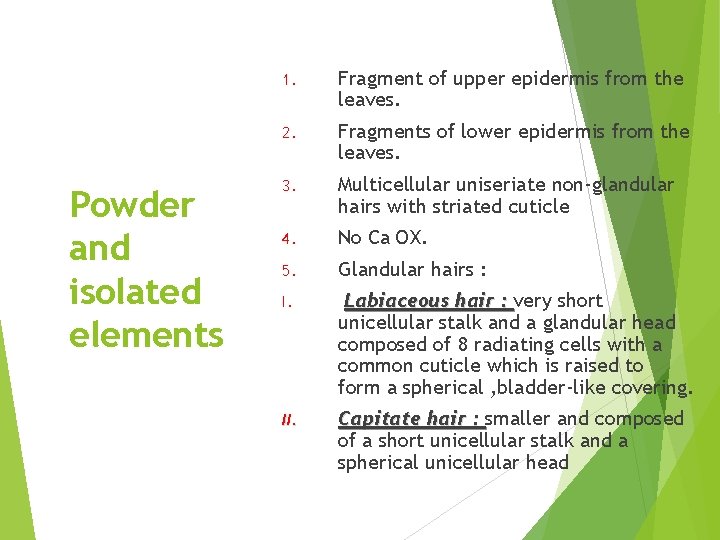 Powder and isolated elements 1. Fragment of upper epidermis from the leaves. 2. Fragments
