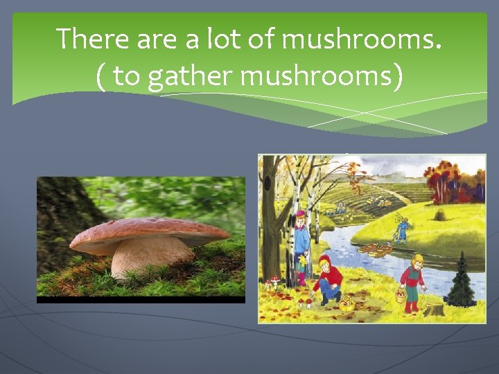 There a lot of mushrooms. ( to gather mushrooms) We are going to …