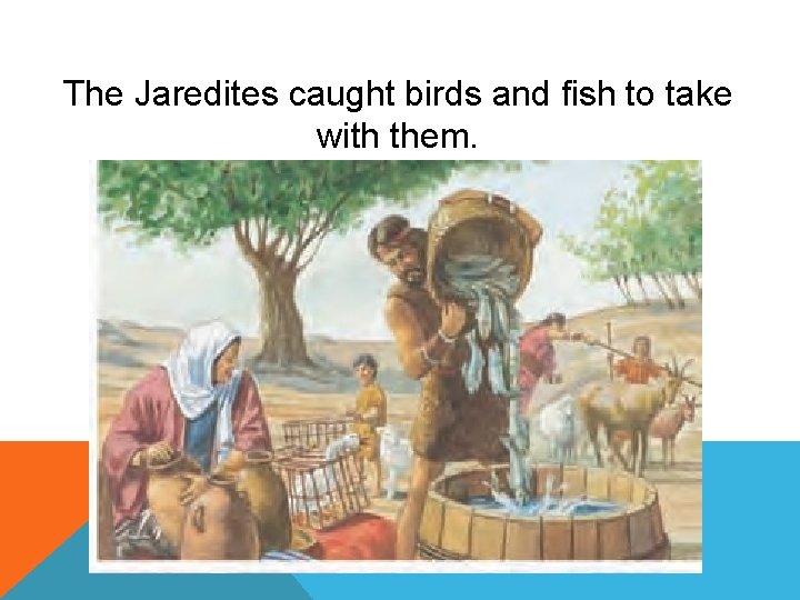 The Jaredites caught birds and fish to take with them. 