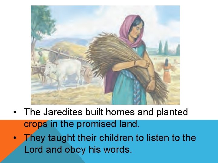  • The Jaredites built homes and planted crops in the promised land. •