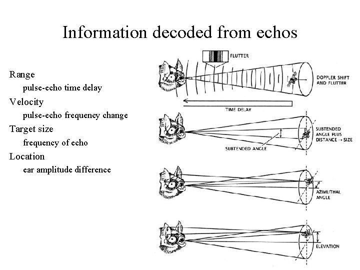 Information decoded from echos Range pulse-echo time delay Velocity pulse-echo frequency change Target size
