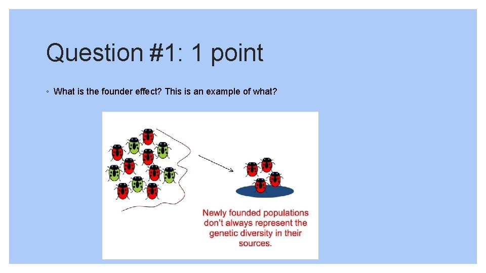 Question #1: 1 point ◦ What is the founder effect? This is an example