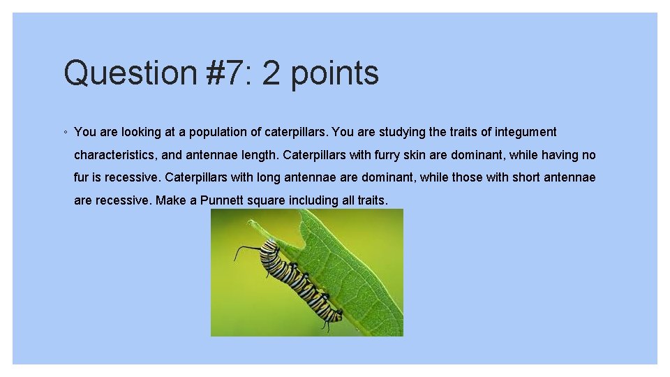 Question #7: 2 points ◦ You are looking at a population of caterpillars. You