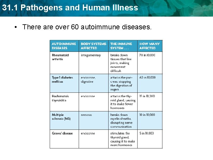 31. 1 Pathogens and Human Illness • There are over 60 autoimmune diseases. 