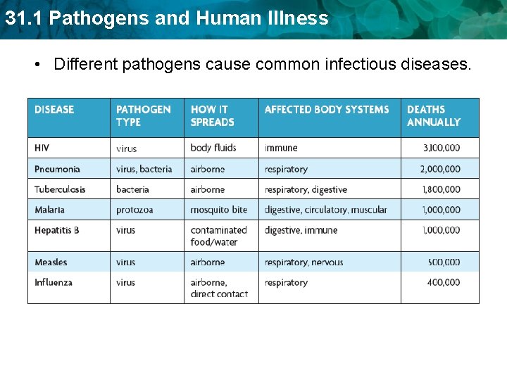 31. 1 Pathogens and Human Illness • Different pathogens cause common infectious diseases. 