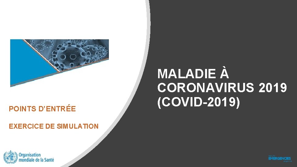 POINTS D’ENTRÉE EXERCICE DE SIMULATION MALADIE À CORONAVIRUS 2019 (COVID-2019) 