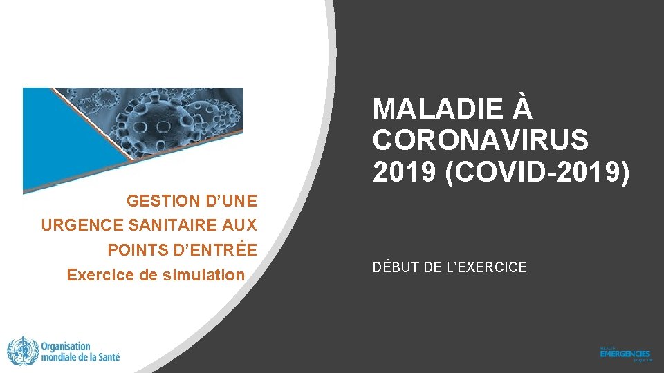 MALADIE À CORONAVIRUS 2019 (COVID-2019) GESTION D’UNE URGENCE SANITAIRE AUX POINTS D’ENTRÉE Exercice de