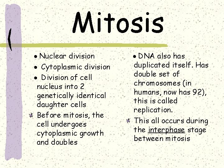Mitosis · Nuclear division · Cytoplasmic division · Division of cell nucleus into 2