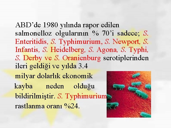 ABD’de 1980 yılında rapor edilen salmonelloz olgularının % 70’i sadece; S. Enteritidis, S. Typhimurium,