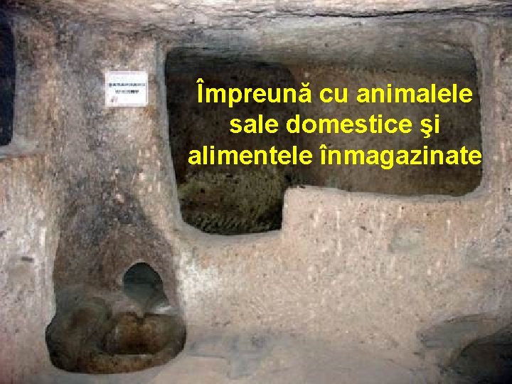 Împreună cu animalele sale domestice şi alimentele înmagazinate 