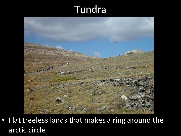 Tundra • Flat treeless lands that makes a ring around the arctic circle 