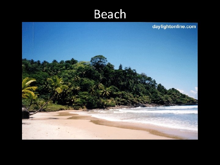 Beach 