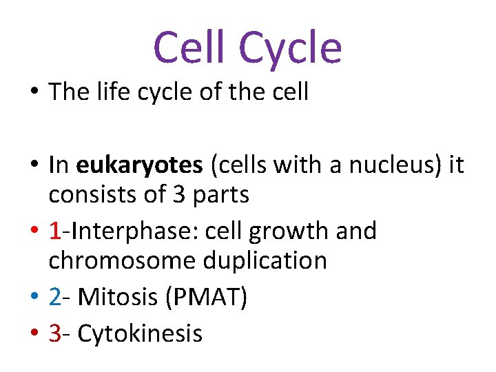 Cell Cycle • The life cycle of the cell • In eukaryotes (cells with