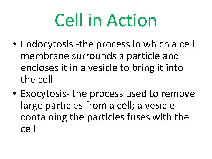 Cell in Action • Endocytosis -the process in which a cell membrane surrounds a