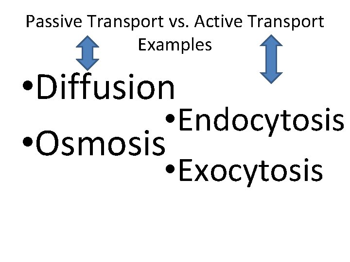 Passive Transport vs. Active Transport Examples • Diffusion • Endocytosis • Osmosis • Exocytosis
