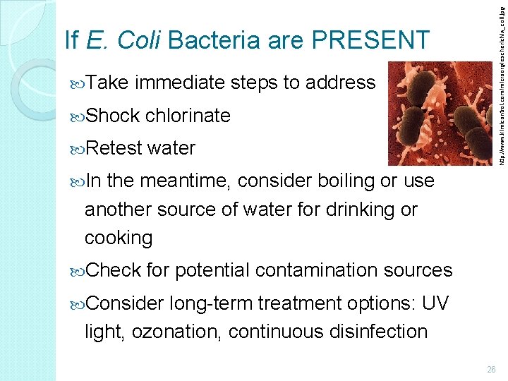 http: //www. kimicontrol. com/microorg/escherichia_coli. jpg If E. Coli Bacteria are PRESENT Take immediate steps