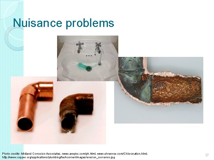 Nuisance problems Photo credits: Midland Corrosion Associates, www. awqinc. com/ph. html, www. ehrenner. com/Chloronation.