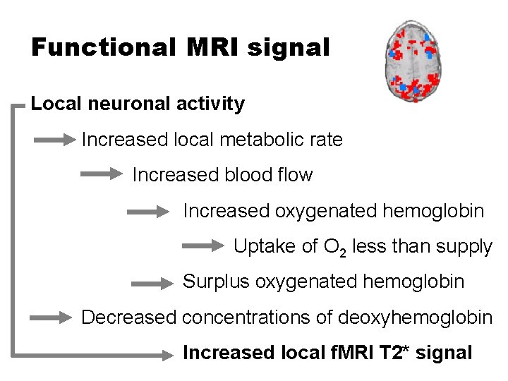 Functional MRI signal Local neuronal activity Increased local metabolic rate Increased blood flow Increased