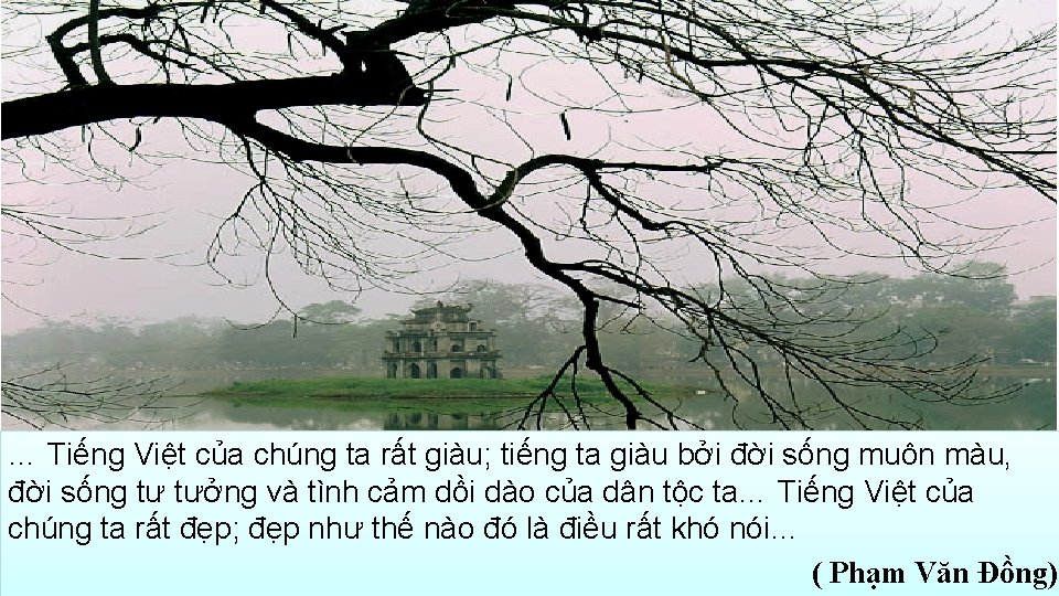 … Tiếng Việt của chúng ta rất giàu; tiếng ta giàu bởi đời sống