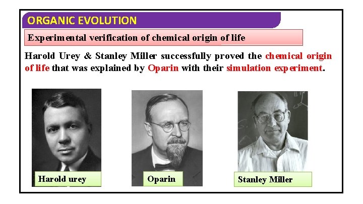 ORGANIC EVOLUTION Experimental verification of chemical origin of life Harold Urey & Stanley Miller