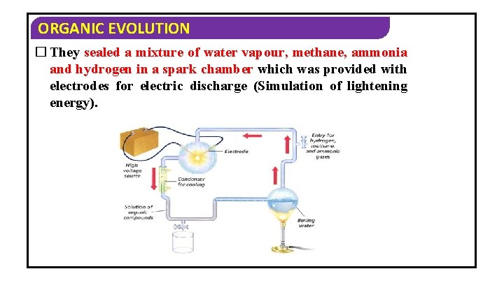 ORGANIC EVOLUTION � They sealed a mixture of water vapour, methane, ammonia and hydrogen