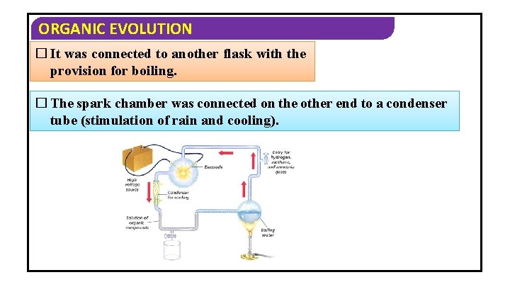 ORGANIC EVOLUTION � It was connected to another flask with the provision for boiling.