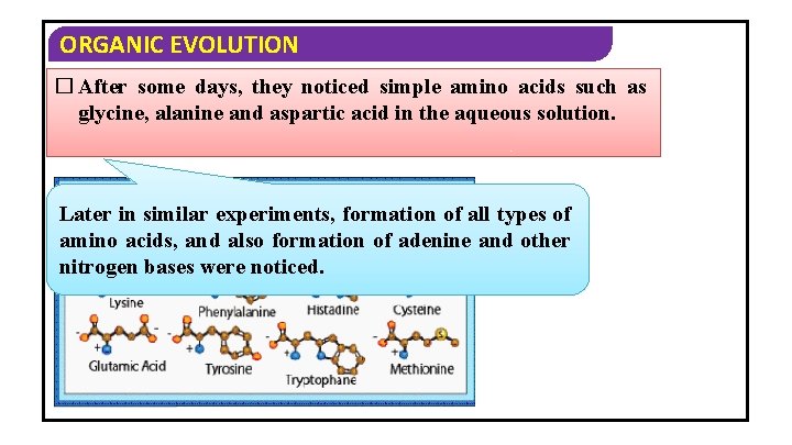 ORGANIC EVOLUTION � After some days, they noticed simple amino acids such as glycine,