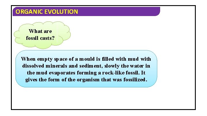 ORGANIC EVOLUTION What are fossil casts? When empty space of a mould is filled