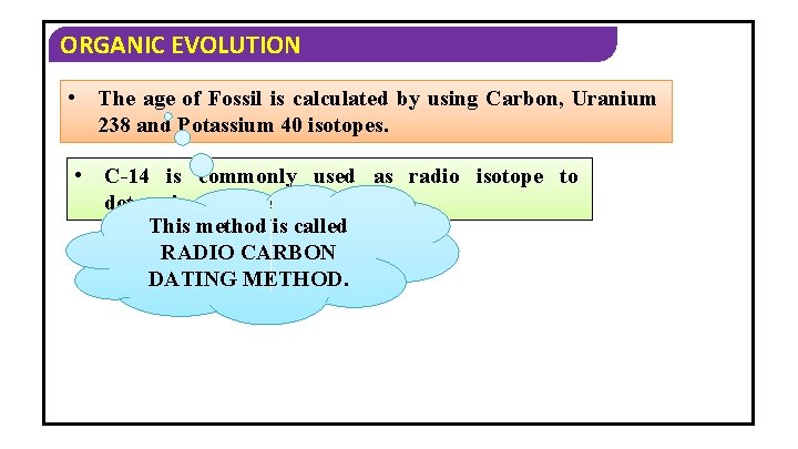 ORGANIC EVOLUTION • The age of Fossil is calculated by using Carbon, Uranium 238