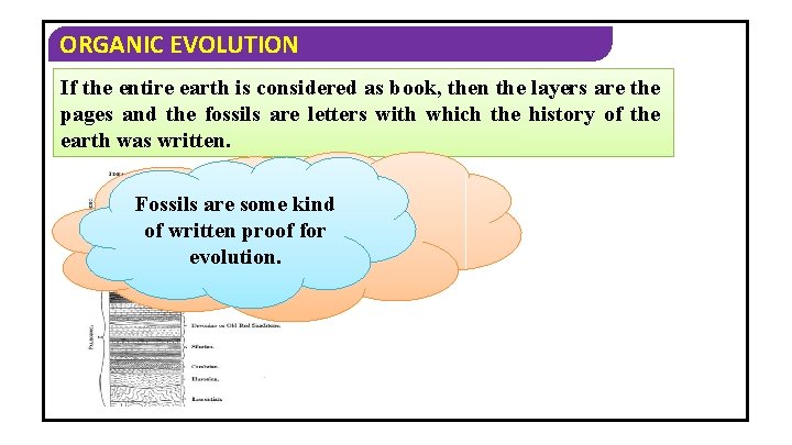 ORGANIC EVOLUTION If the entire earth is considered as book, then the layers are