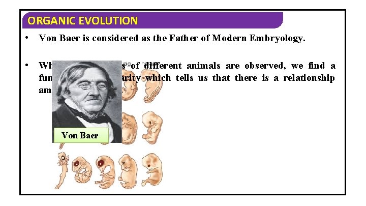 ORGANIC EVOLUTION • Von Baer is considered as the Father of Modern Embryology. •