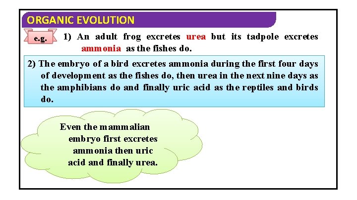 ORGANIC EVOLUTION e. g. 1) An adult frog excretes urea but its tadpole excretes