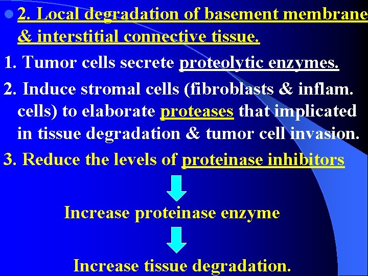 l 2. Local degradation of basement membrane & interstitial connective tissue. 1. Tumor cells