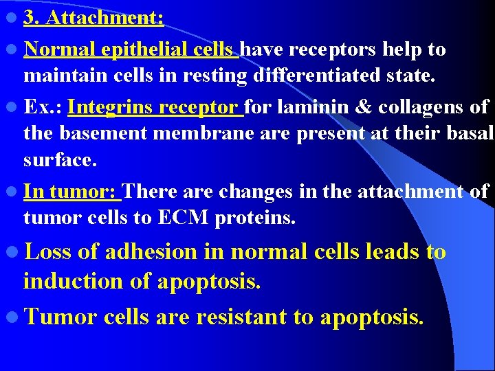 l 3. Attachment: l Normal epithelial cells have receptors help to maintain cells in