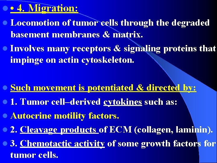 l • 4. Migration: l Locomotion of tumor cells through the degraded basement membranes