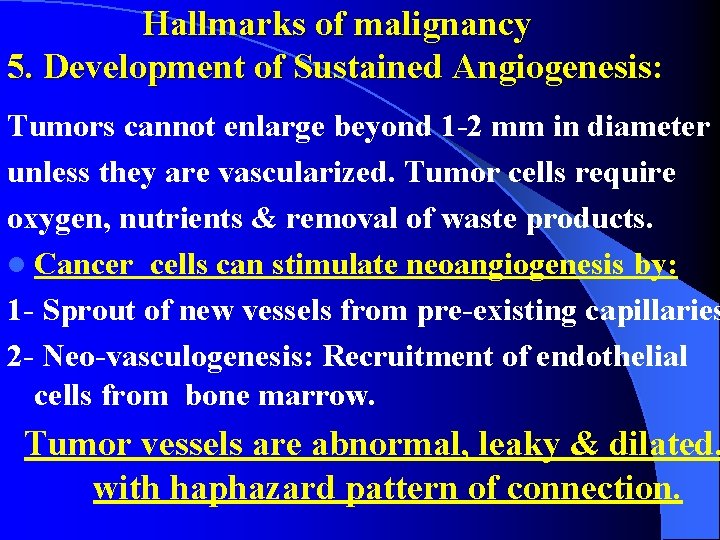 Hallmarks of malignancy 5. Development of Sustained Angiogenesis: Tumors cannot enlarge beyond 1 -2