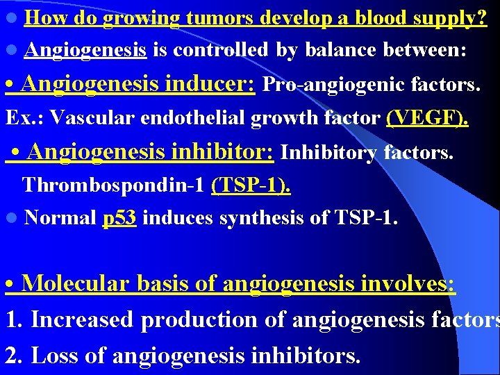 l How do growing tumors develop a blood supply? l Angiogenesis is controlled by