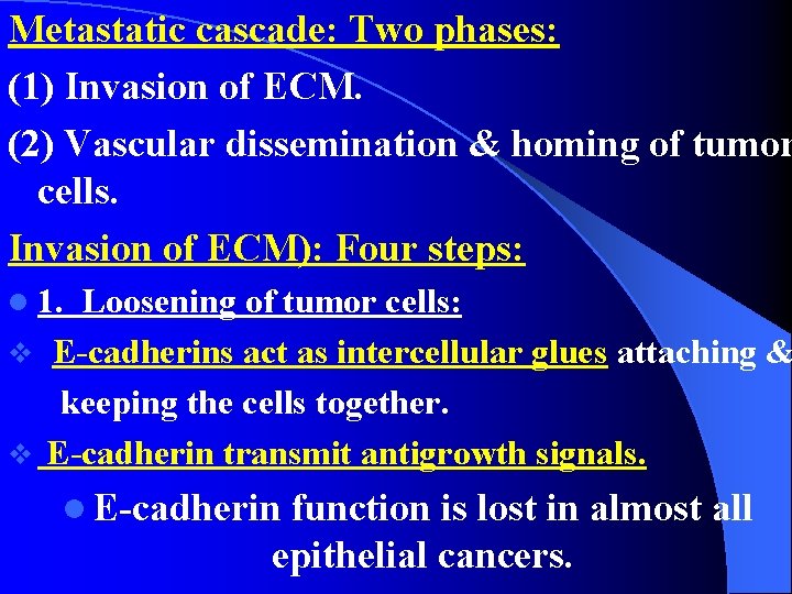Metastatic cascade: Two phases: (1) Invasion of ECM. (2) Vascular dissemination & homing of